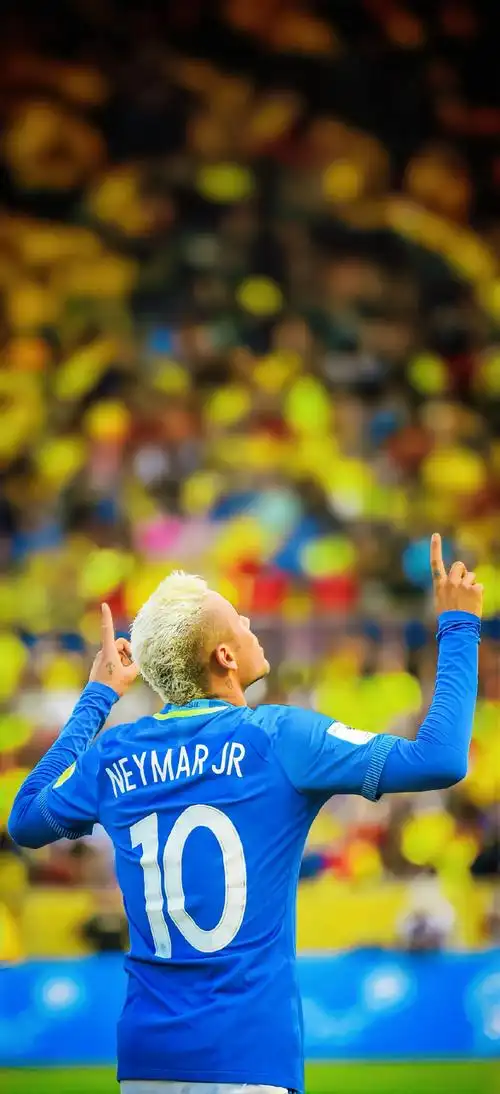 在可持续发 在可持续发