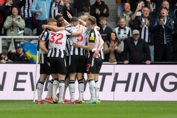 其職業生涯 其職業生涯