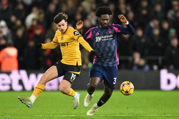 提供了一个 提供了一个